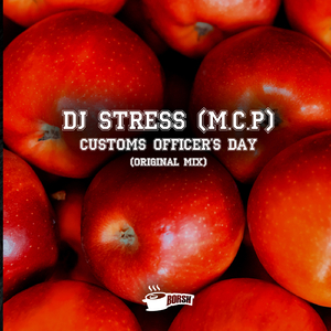 Customs Officer's Day (Original Mix)