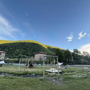 《大山原始森林的梦幻之境》