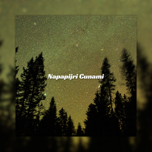Napapijri Cunami