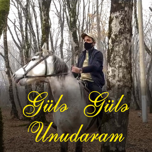 Gülə Gülə Unudaram