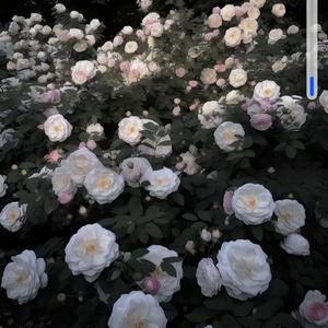 老婆孩子热炕头