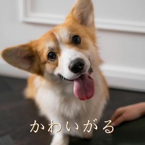 ルージュ