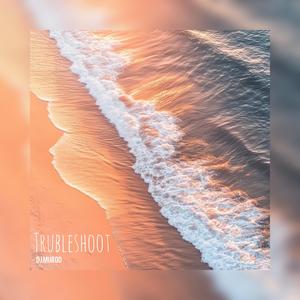 Troubleshoot