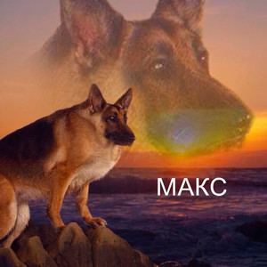 Макс