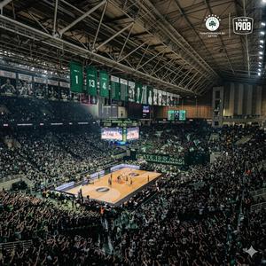 Το τριφύλλι 13