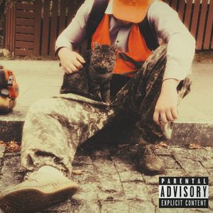 человейник