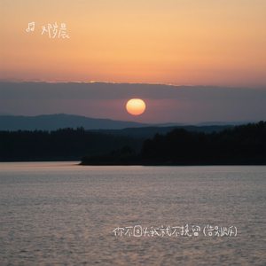 你不回头我就不挽留