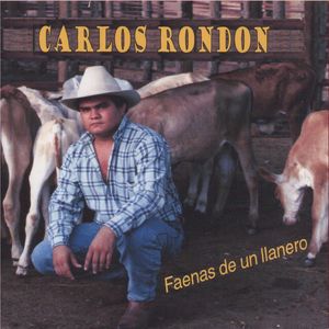 Alcaraván Compañero