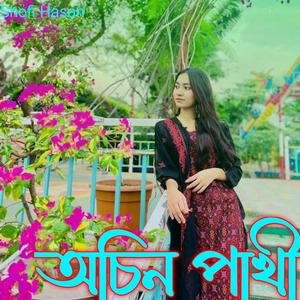 অচিন পাখী