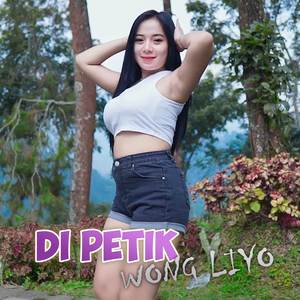 Di petik wong liyo (Remix)