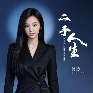 二手人生 (Dj何鹏版伴奏)