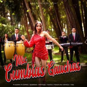 Mix Cumbia Gauchas: Te Quiero Te Espero / Quiereme / Miènteme / Vamos A Tomar Una Cerveza / Vida