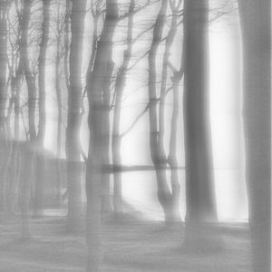 Der Grimm