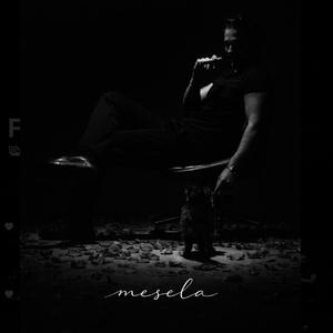 MESELA