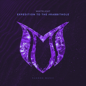 Expedition To The #RabbitHole (Original Mix)
