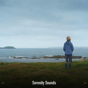 lucid dream transitions