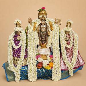திருப்புகழ் 687 சொருபப் பிரகாச (திருவொற்றியூர்)