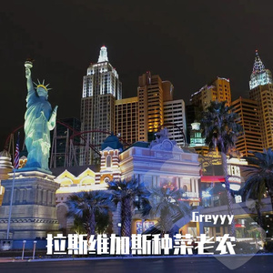 拉斯维加斯种菜老农