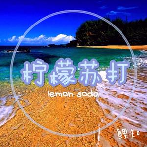 柠檬苏打（lemon soda）