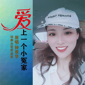 爱上一个小冤家