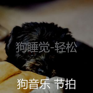 精彩(音乐)