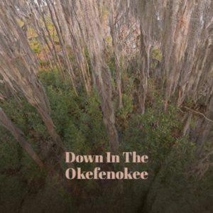 Down In The Okefenokee