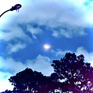 Crush (for the free)