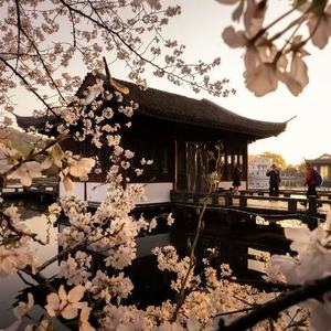 나는 당신을 선호（偏偏要爱你）加速版