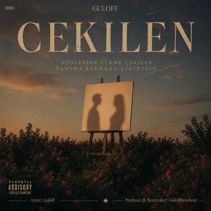 Çekilen