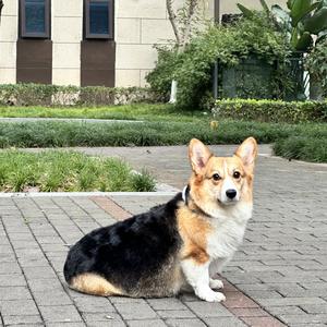 歌名：爱在细节里