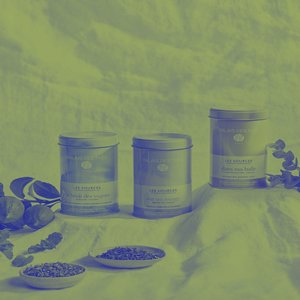 Palais des Thés, Sur un nuage