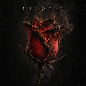 nikotin