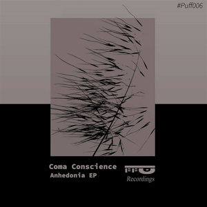 Stargaze Haze (Original Mix)