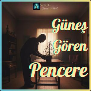 Güneş gören pencere
