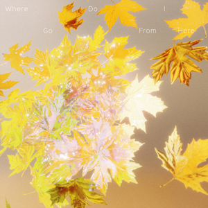 どうしたらいい