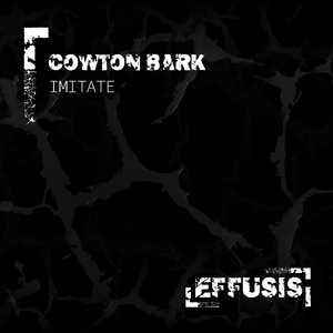 Imitate (Original Mix)