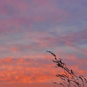 西山（Prod by：Cud）