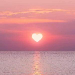 大雾散去我爱你人尽皆知.