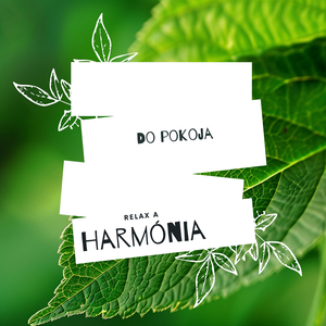 Meditácia vedomého bytia