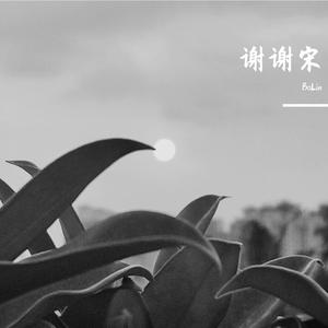 宋冬野-郭源潮（BoLin remix）