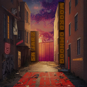 Zorgen in me rugtas (feat. Scumbag, Eeuwe Deelstra, S.A. Barz & Den Dubieus)