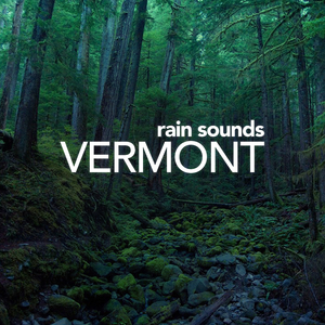 Thunder & Lightning (Original Mix)