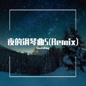夜的钢琴曲5（ShadyKing Bootleg Remix）