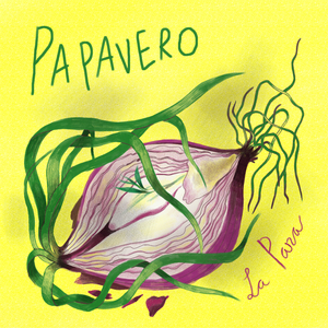 Papavero