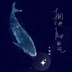 拥抱自由的风 (DJ电仔版)