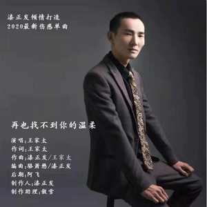 再也找不到你的温柔