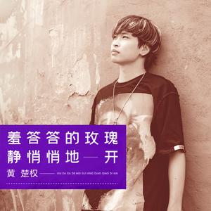 羞答答的玫瑰静悄悄地开 (壮语版)