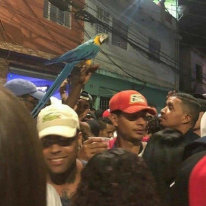 VEM DE 4, POCK POCK ELE VAI BOTANDO - TIK TOK