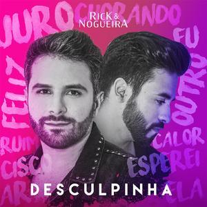 Desculpinha (Ao Vivo)