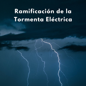 Mi Reposo